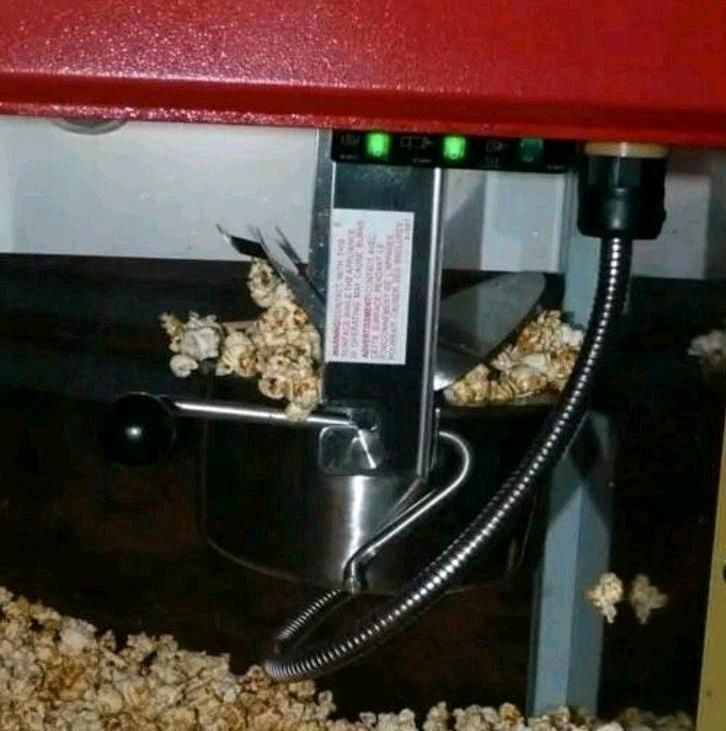 Popcornmaschine Popcorn Maschine inkl Reinigung mieten in Hiddenhausen – 3