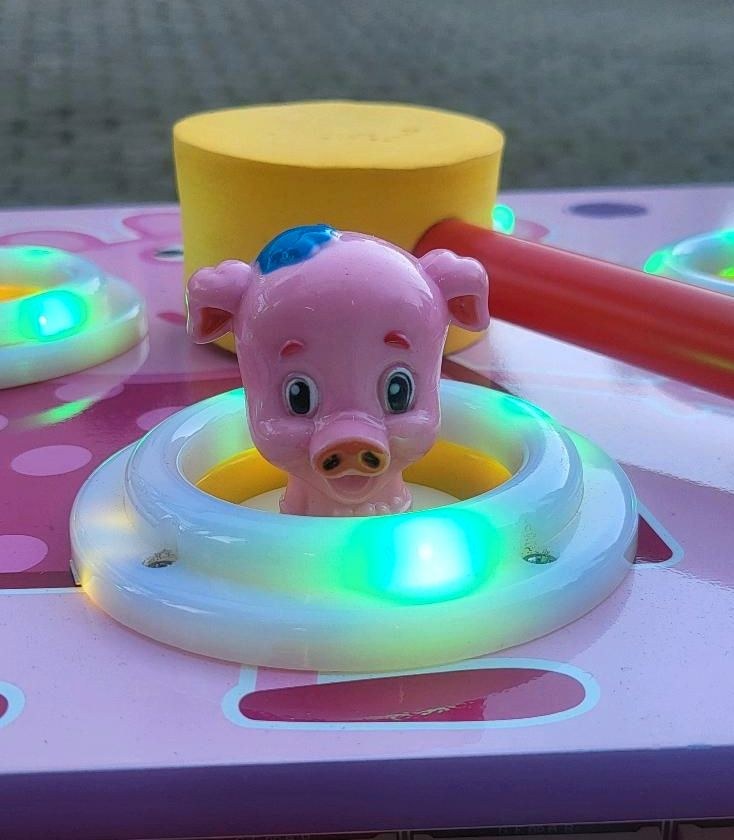 Arcade Hau Schwein mieten in Hiddenhausen – Spiel & Spaß