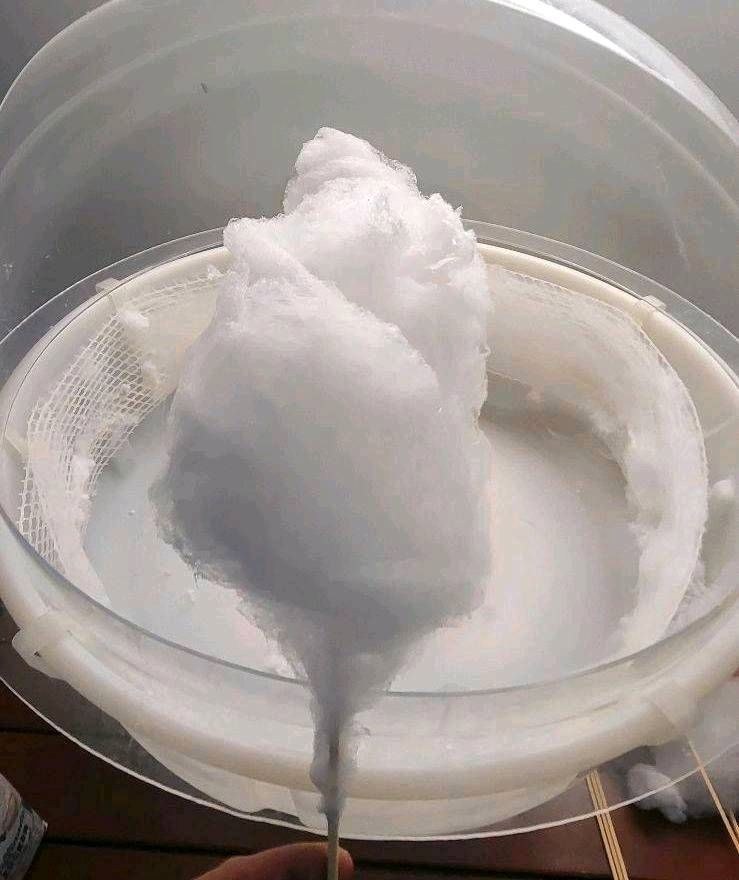 Zuckerwattemaschine mieten in Hiddenhausen – 2