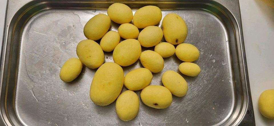 Kartoffelschälmaschine Kartoffelschäler mieten in Hiddenhausen