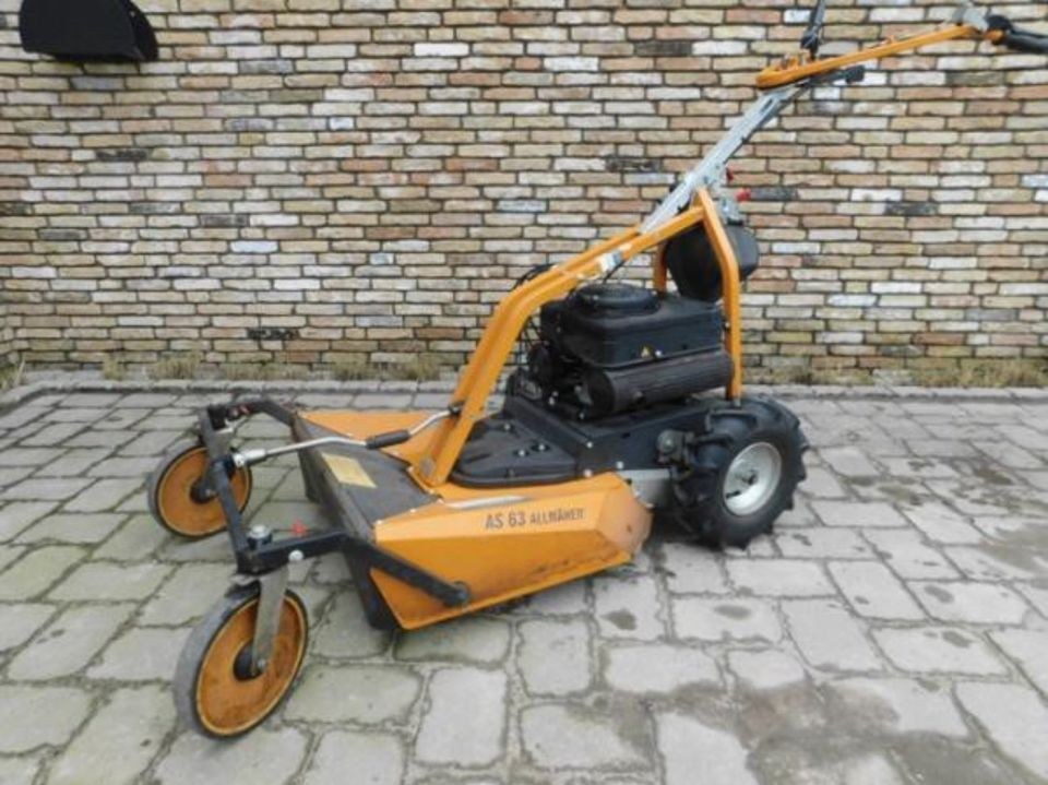AS Motor Hochgrasmäher mieten in Damme – für große Flächen