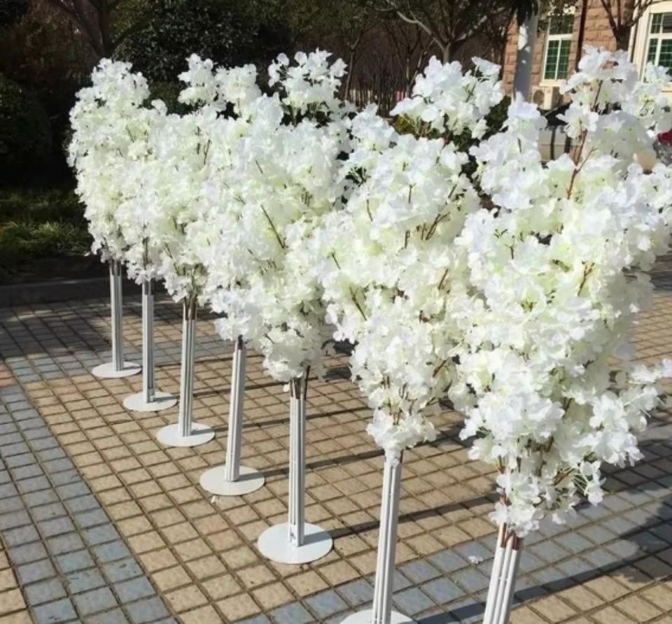 Kirschblütenbaum Sakura weiß 150cm Kirschblüten mieten in Bodenheim