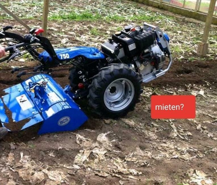 Gartenfräse Fräse Rasen fräsen mieten bei Harald Brückl dermietbagger