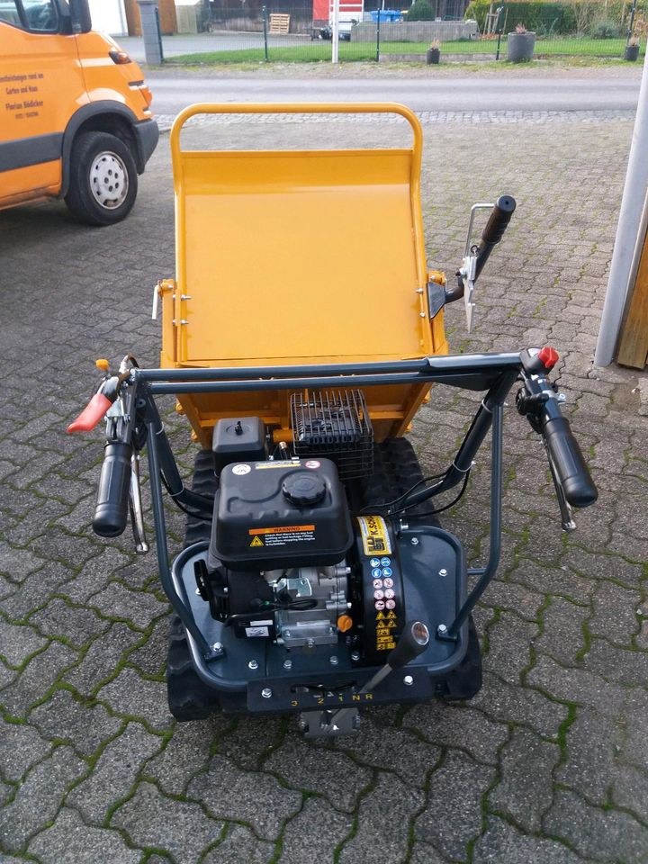 Minidumper Dumper Kettendumper mieten in Spangenberg – 2
