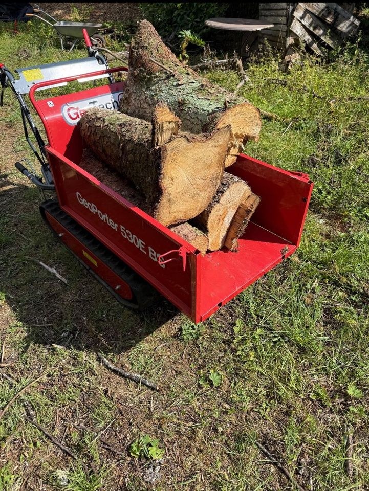 Motorschubkarre Raupendumper Mulde Baumaschinen mieten in Namborn
