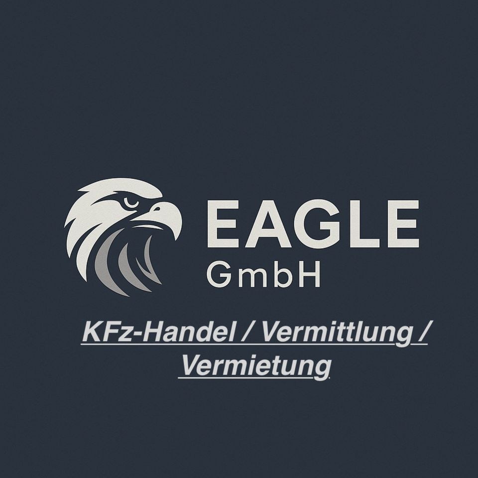 Harley Davidson V Rod Special Custom Chopper mieten bei Eagle – 2
