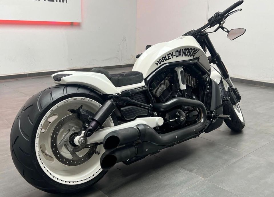 Harley Davidson Night Rod V Chopper Motorrad mieten bei Eagle