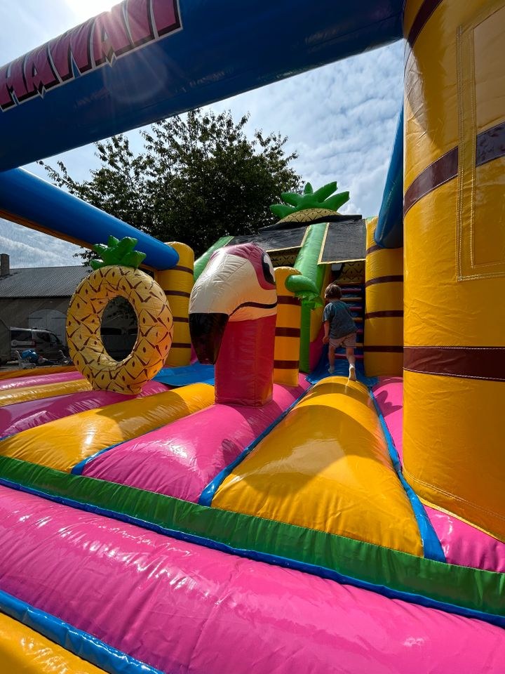 Hüpfburg Hawaii Kindergeburtstag mieten in Großenwiehe – 4