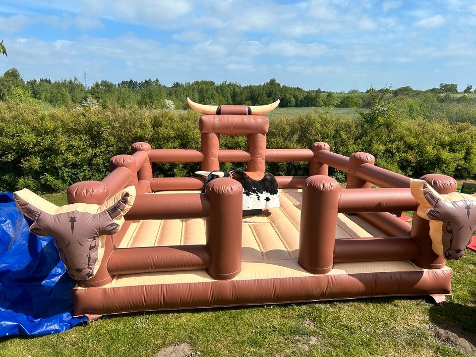 Rodeo bullenreiten mieten in Großenwiehe – für Kinderfest & Feier – 4