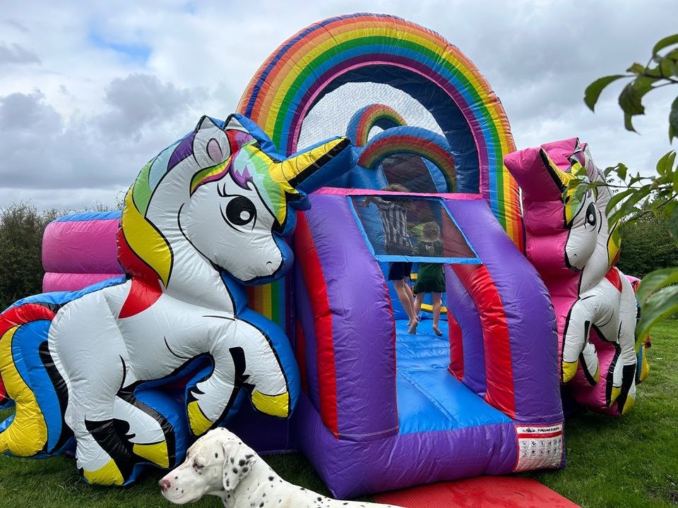 Hüpfburg Einhorn Kindergeburtstag mieten in Großenwiehe
