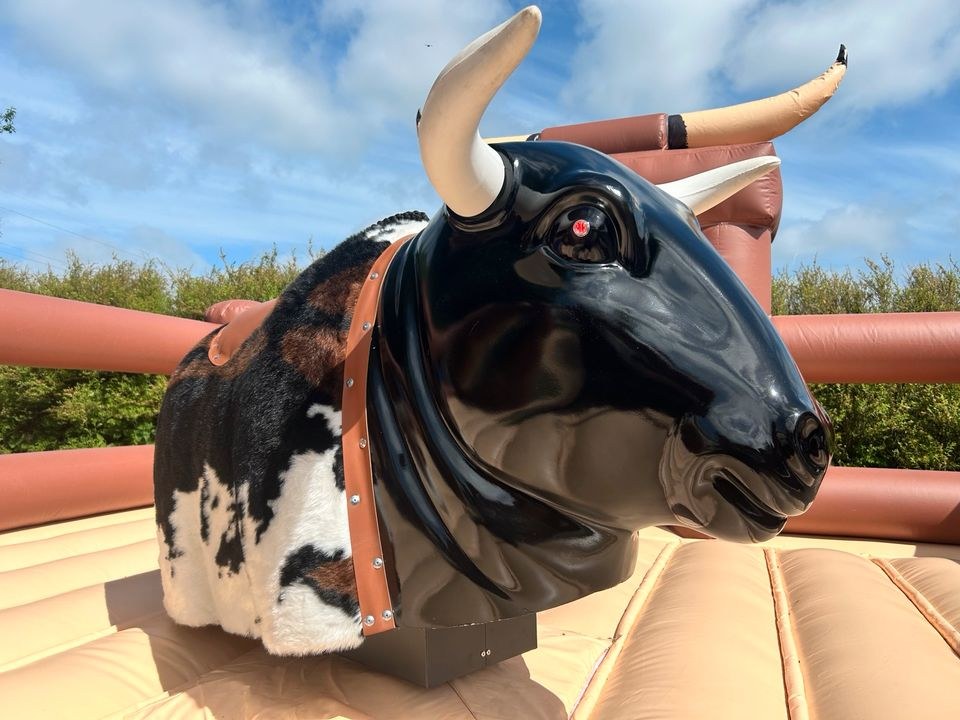 Rodeo bullenreiten mieten in Großenwiehe – für Kinderfest & Feier