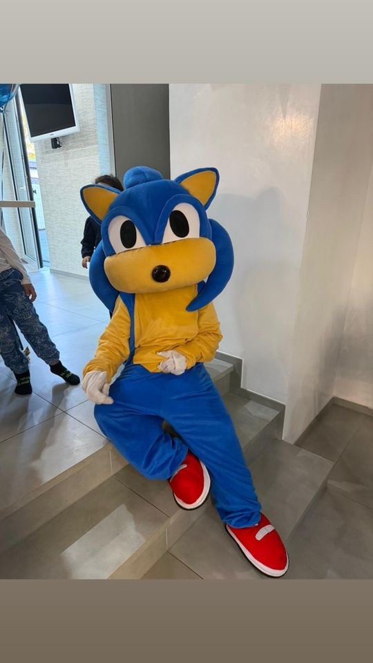 Sonic Maskottchen Kindergeburtstag mieten bei Elma Eventservice – 2