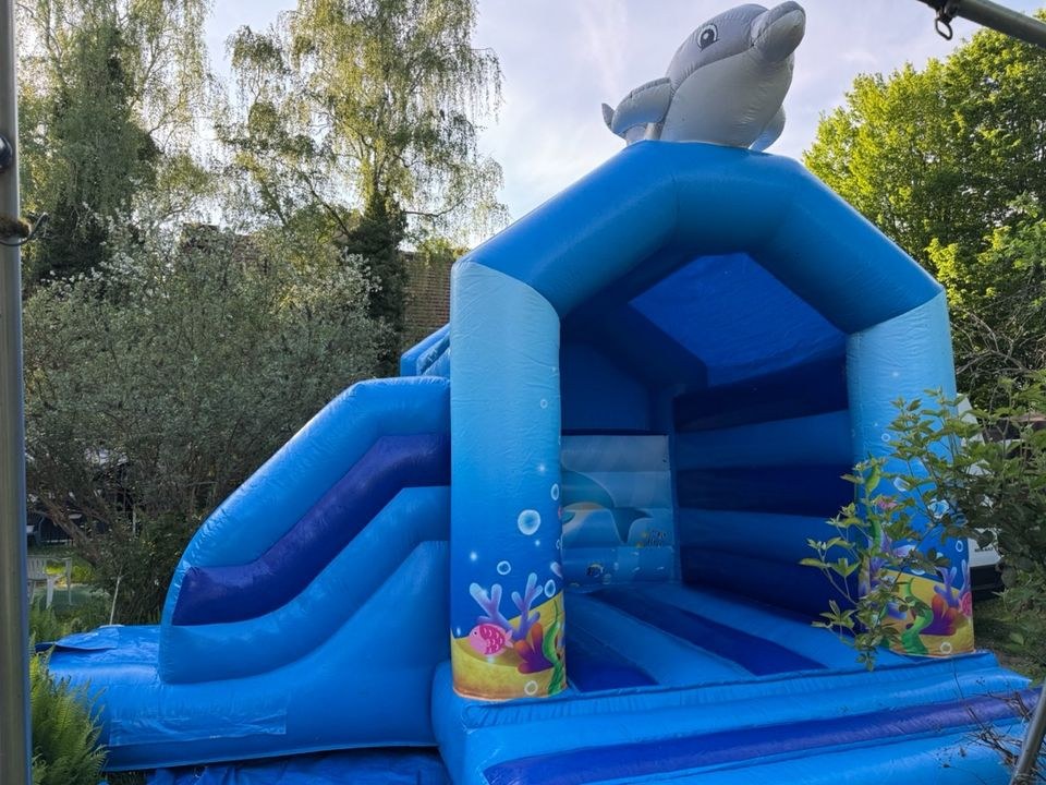 Delfin Hüpfburg Feste Feiern mieten bei Event Paradies Nimaro – 2
