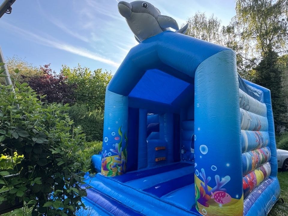 Delfin Hüpfburg Feste Feiern mieten bei Event Paradies Nimaro – 3
