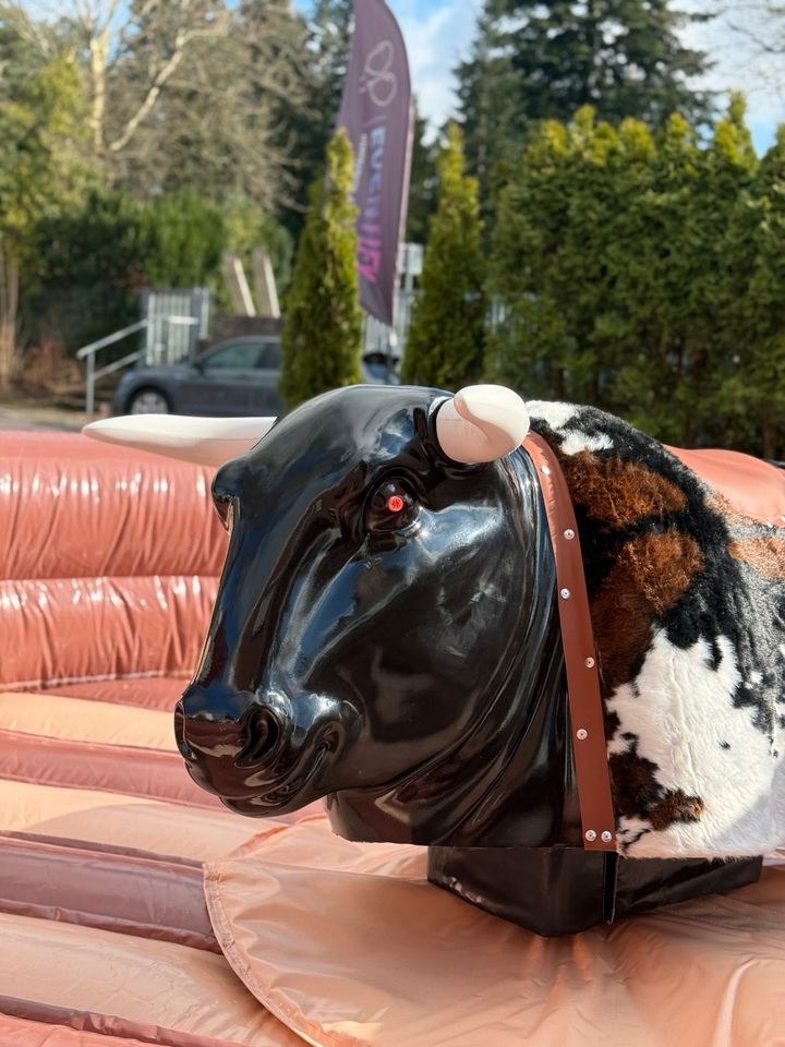 Rodeo Rodeoreiten Bullriding Bullenreiten Full mieten bei Eventify – 4