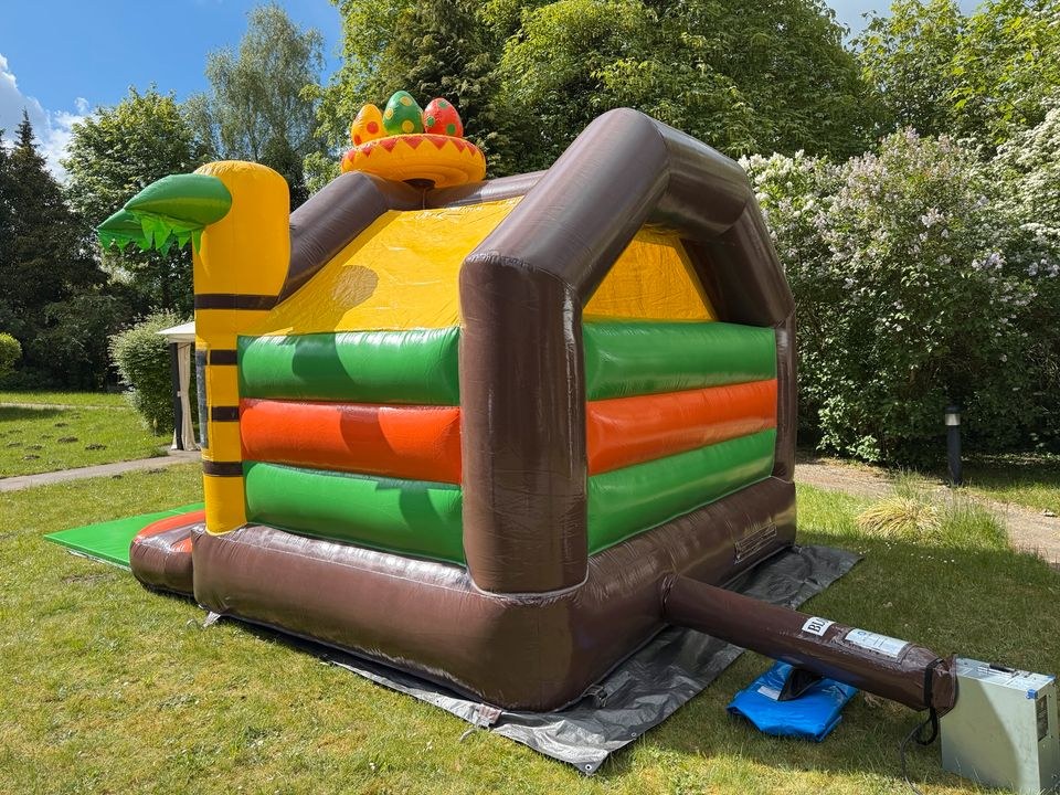 Hüpfburg Slide Combo Dino mieten in Kisdorf – Hüpfspaß für jede Feier – 4