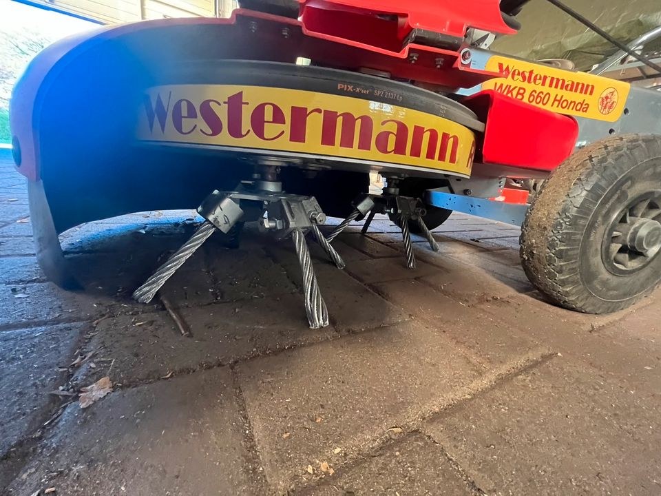 Wildkrautbürste Pflaster Reinigung mieten in Uplengen – 4