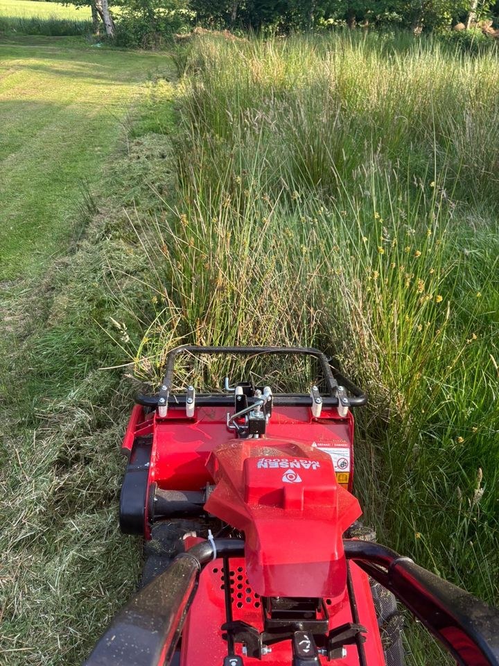 Mulcher Hochgrasmäher Schlägelmulcher mieten in Uplengen – 2