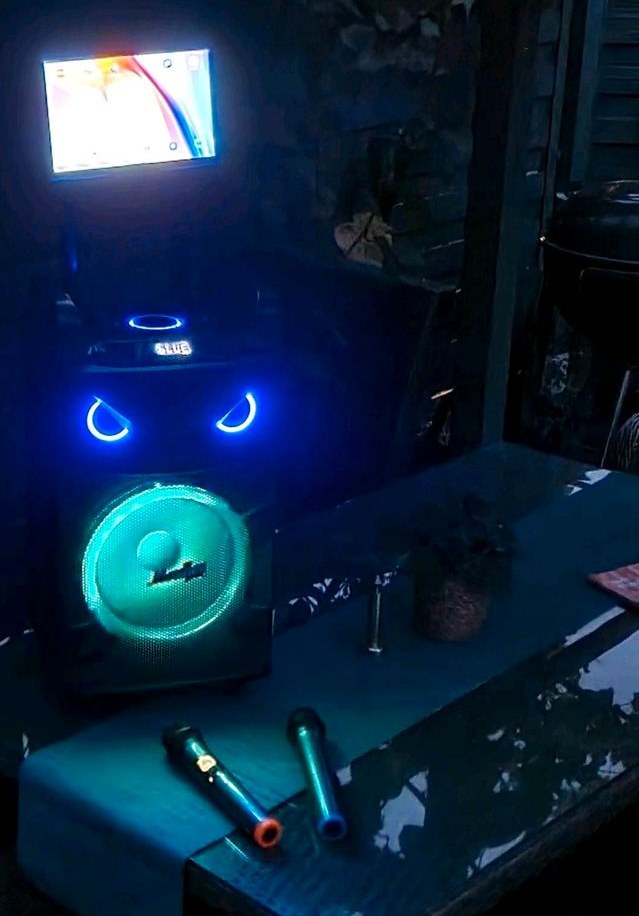 Karaoke Box N 2 Mikrofone Discolicht mieten in Deutsch Evern – 4