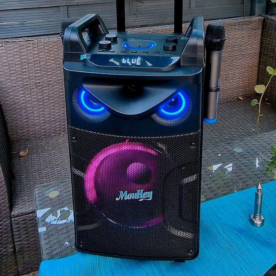 Karaoke Box N 2 Mikrofone Discolicht mieten in Deutsch Evern