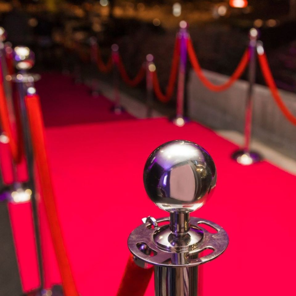 Roter Teppich VIP N mieten in Deutsch Evern – für die Hochzeit – 2