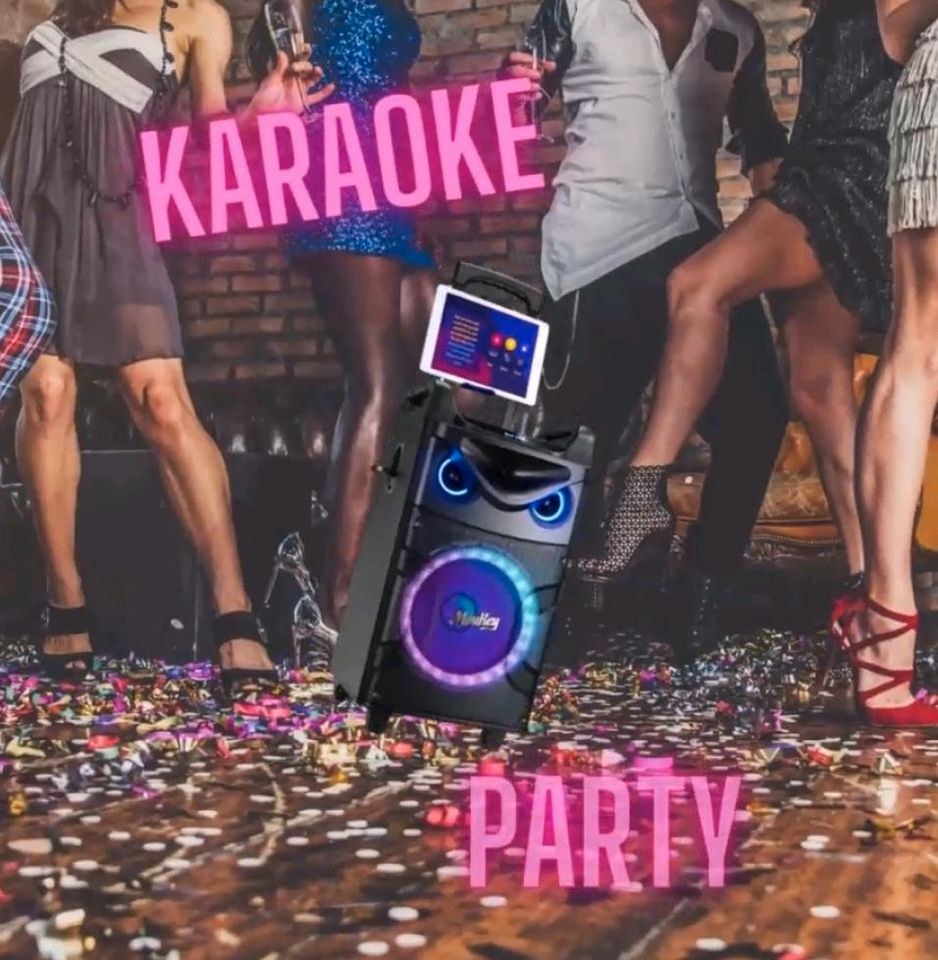 Karaoke Box N 2 Mikrofone Discolicht mieten in Deutsch Evern – 3