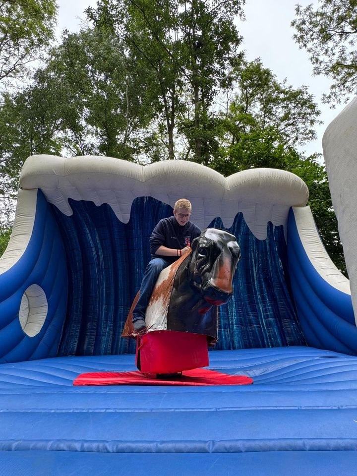 Rodeobulle Highlight jede mieten bei Eventservice Flo Zeltmann – 2