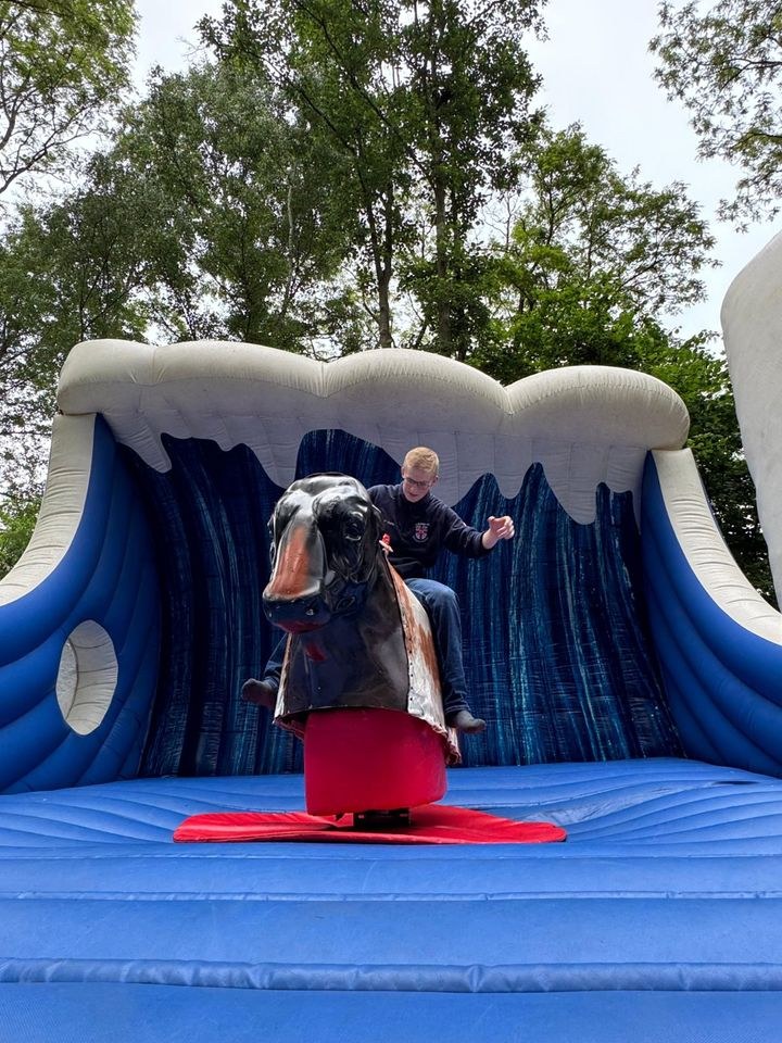 Rodeobulle Highlight jede mieten bei Eventservice Flo Zeltmann – 3