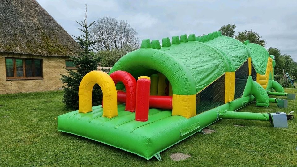 XXL Hüpfburg Krokodil BxLxH 5m x 20m 4.5m mieten in Tellingstedt – 4