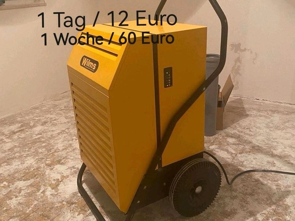 Mietservice Gartengeräte Baumaschinen Anhänger mieten in Schüttorf – 4