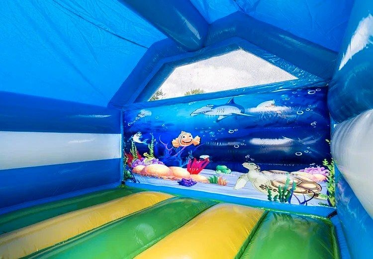 Seaworld Hüpfburg Rutsche Spaß mieten in Billerbeck – 2