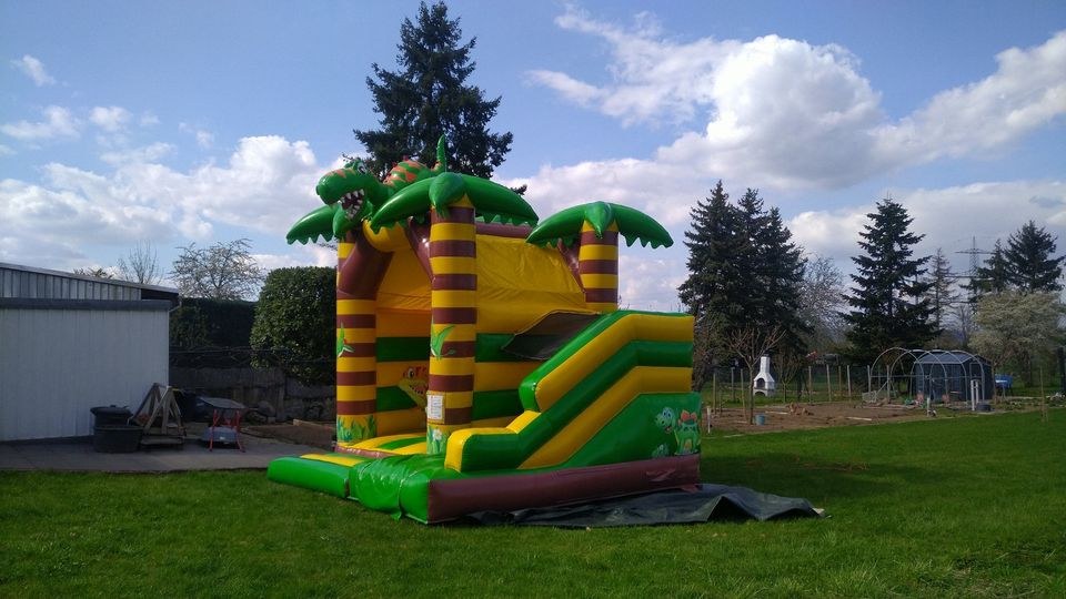 Hüpfburg Dino Selbstabholer mieten bei Thomas – 3