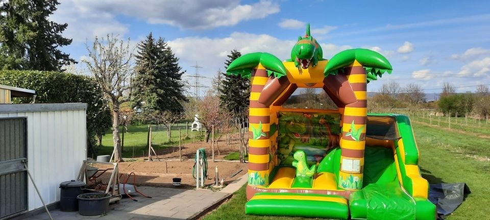 Hüpfburg Dino Selbstabholer mieten bei Thomas