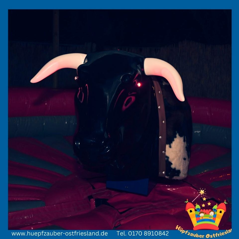 Rodeo Bulle mieten in Aurich – für Kinderfest & Feier – 2