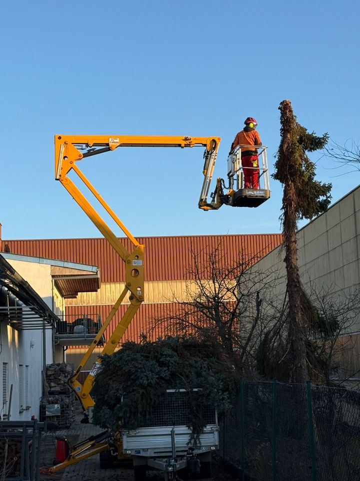 Hubarbeitsbühne Raupenbühne Hebebühne mieten in Pfungstadt
