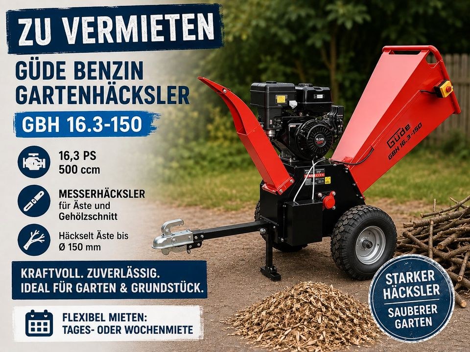 Häcksler Gartenhäcksler 16,3 PS 15cm auch mieten bei Jo-Ro