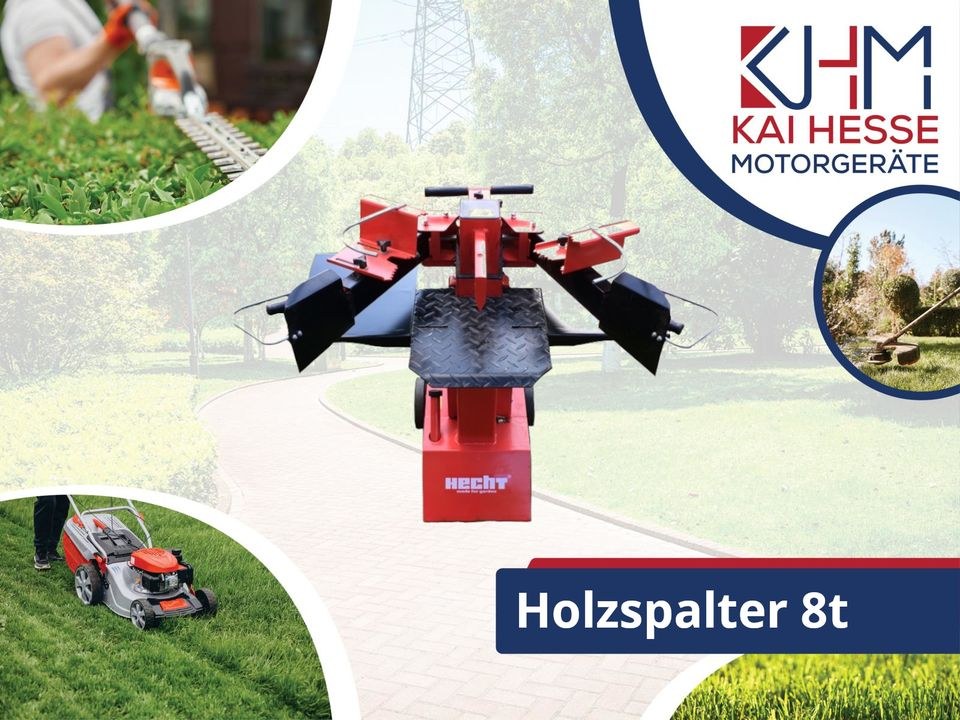 Holzspalter Brennholzspalter 8t mieten bei Motorgeräte