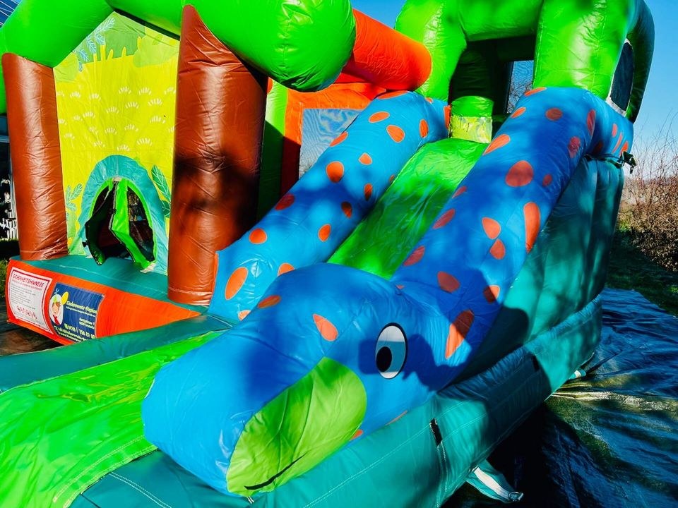 Hüpfburg Little Jungle klein Rutsche mieten in Crostwitz – 2