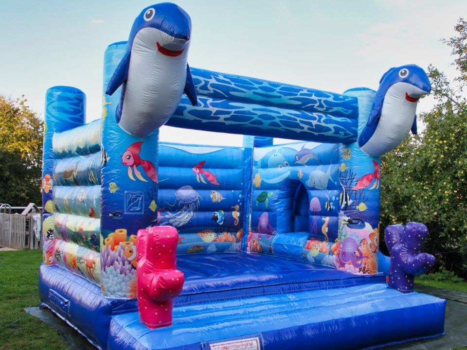 Hüpfburg Dolphins Rutsche mieten in Crostwitz