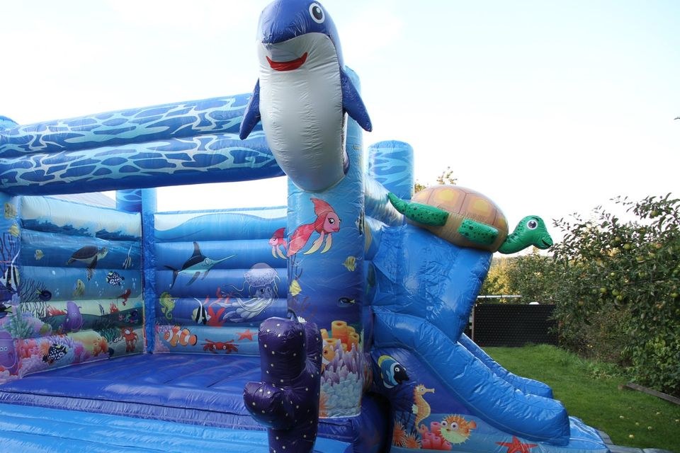 Hüpfburg Dolphins Rutsche mieten in Crostwitz – 3