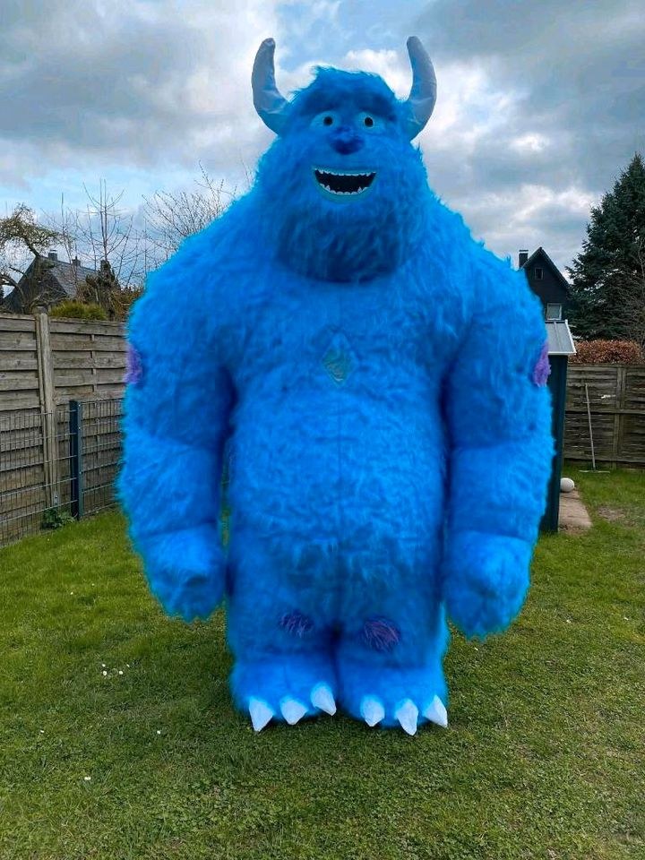 Aufblasbares Maskottchen Kostüm Monster mieten bei Klassen – 4