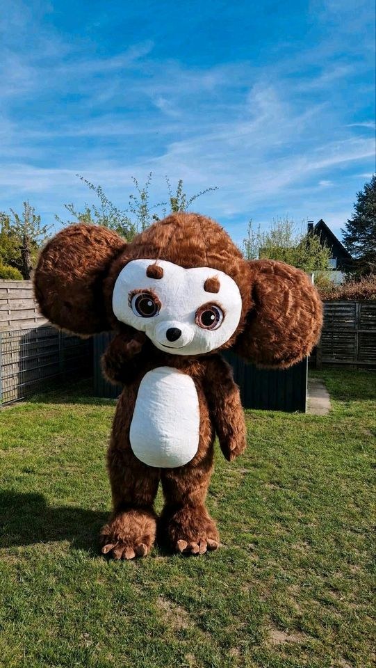 Maskottchen Kostüm чебурашка гена вини пух mieten bei Klassen – 4
