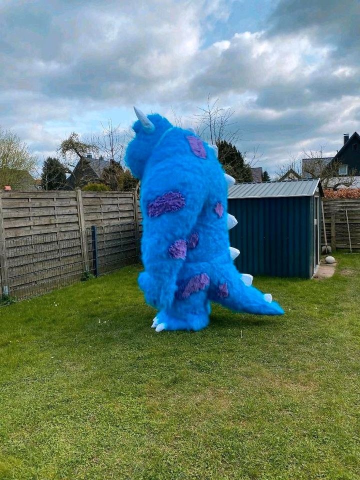 Aufblasbares Maskottchen Kostüm Monster mieten bei Klassen – 3