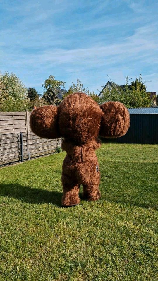 Maskottchen Kostüm чебурашка гена вини пух mieten bei Klassen – 3