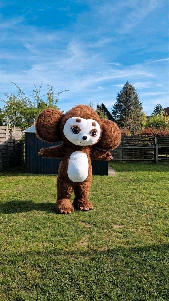 Maskottchen Kostüm чебурашка гена вини пух mieten bei Klassen
