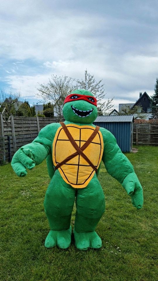 Maskottchen Kostüm Ninja Schildkröten mieten bei Klassen – 4