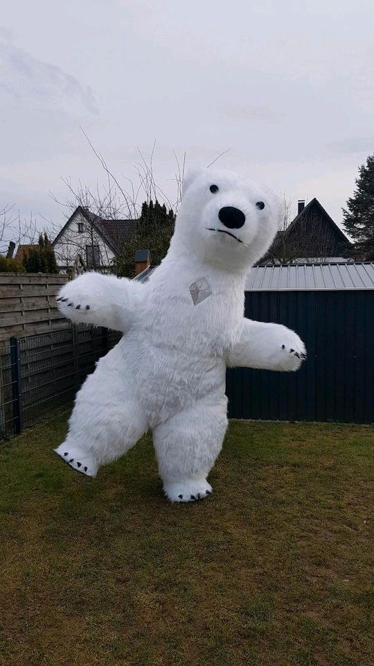 Aufblasbares Kostüm Eisbär Panda mieten bei Klassen – 3