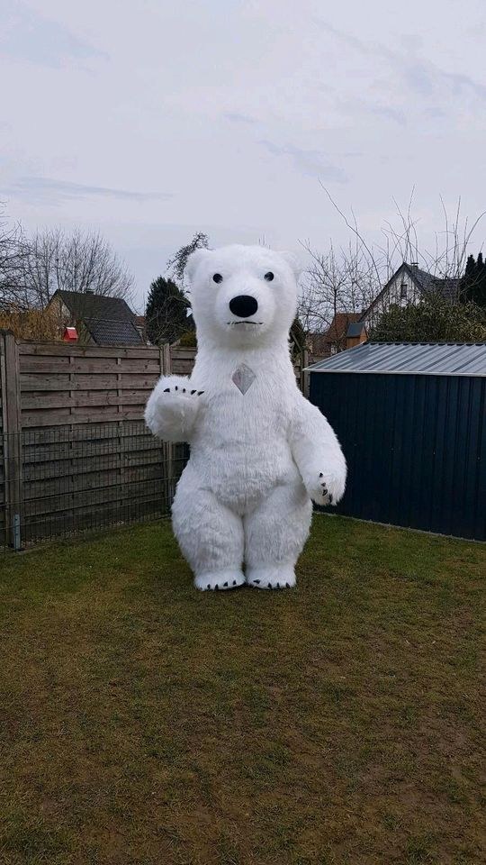 Aufblasbares Kostüm Eisbär Panda mieten bei Klassen – 4