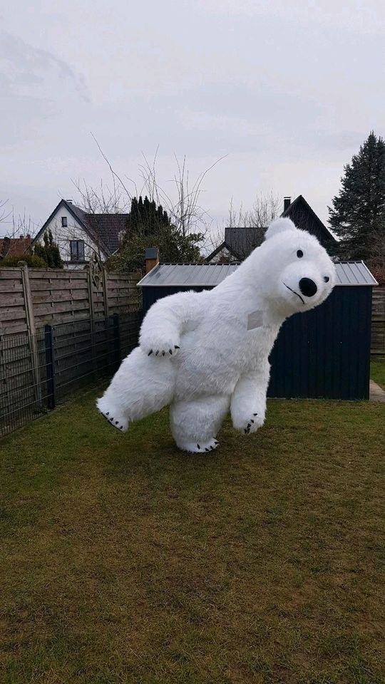 Aufblasbares Kostüm Eisbär Panda mieten bei Klassen – 2