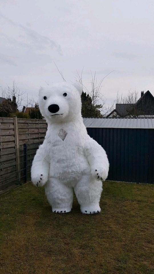 Aufblasbares Kostüm Eisbär Panda mieten bei Klassen